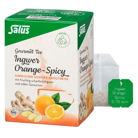 Salus Gourmet Tee Ingwer Orange-Spicy 15 FB