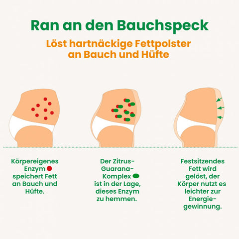 Infobild 2 des des Alsiroyal Figura Fettstoffwechsel