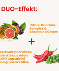 Infobild 2 des Alsiroyal Fettstoffwechsel DUO