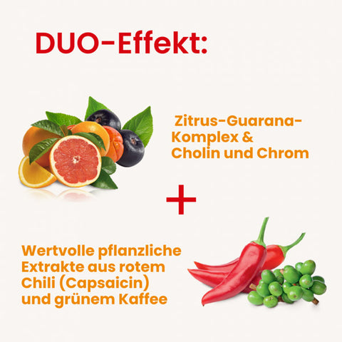 Infobild 2 des Alsiroyal Fettstoffwechsel DUO