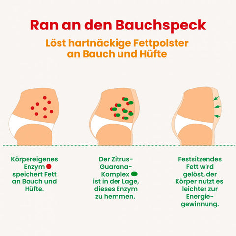 Infobild 3 des Alsiroyal Fettstoffwechsel DUO