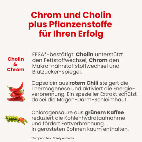 Wirkstoffe-Bild des Alsiroyal Fettstoffwechsel DUO