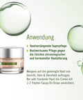 Produktanwendungsbild der Arya Laya PhytoXcellent Tagescreme