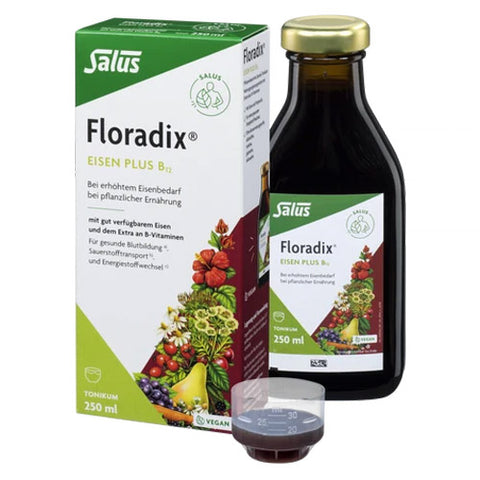 Salus Floradix Eisen plus B12 vegan 250 ml