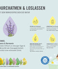 Beschreibungsbild der Anwendungen des Arya Laya Heilkräuterbad Lavendel 